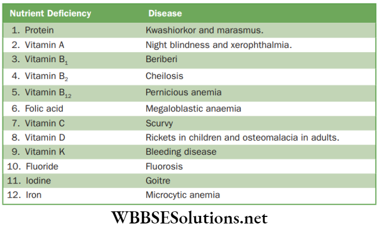 NEET Foundation Biology Why Do We Fall Ill Some common deficiency diseases in human beings