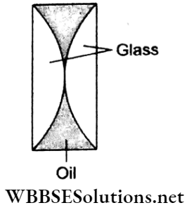 Ray Optics Multiple Choice Questions And Answers Plano Convex Lenses Of Glass Q42