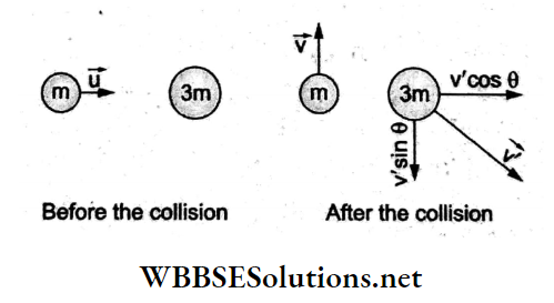 Work Energy Power And Collisions Multiple Choice Question And Answers Q 69