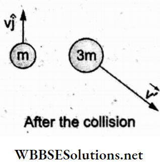 Work Energy Power And Collisions Multiple Choice Question And Answers after the collision Q 69