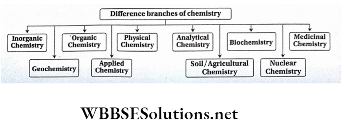 Class 11 Chemistry Some Basic Concepts Of Chemistry Difference Branches Of Chemistry