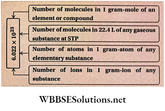 Class 11 Chemistry Some Basic Concepts Of Chemistry Modern Definition of Avogadros number