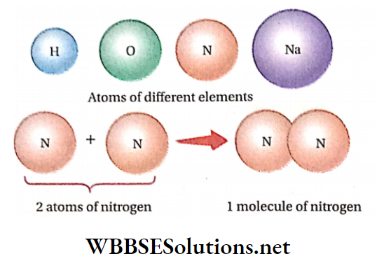 Class 11 Chemistry Some Basic Concepts Of Chemistry Representation of atoms and molecules