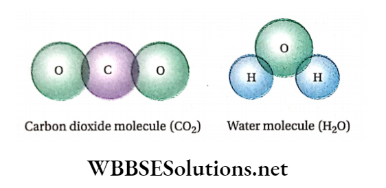 Class 11 Chemistry Some Basic Concepts Of Chemistry Structure of carbon dioxide and water molecule