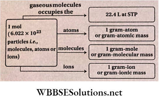Class 11 Chemistry Some Basic Concepts Of Chemistry Various relationships regrading mole concepts