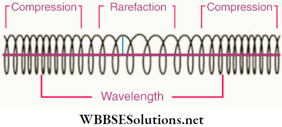 Class 11 Physics Unit 10 Oscillation And Waves Chapter 3 Wave Motion Longitudinal Waves