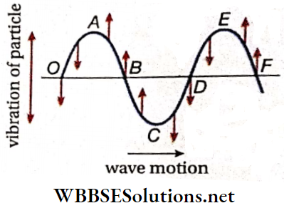 Class 11 Physics Unit 10 Oscillation And Waves Chapter 3 Wave Motion Transverse Wave Can Be Described Generally Through Staright Line