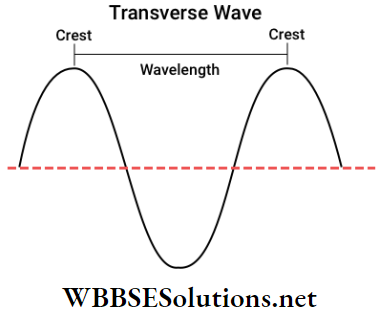 Class 11 Physics Unit 10 Oscillation And Waves Chapter 3 Wave Motion Transverse Waves