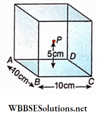 Class 12 Physics Unit 1 Electrostatics Chapter 2 Electric Field The point P is situated at the centre of the cube
