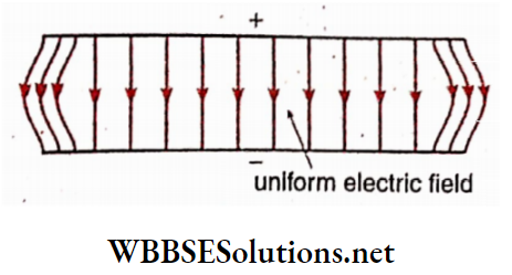 Class 12 Physics Unit 1 Electrostatics Chapter 2 Electric Field Uniform electric field