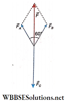 Class 12 Physics Unit 1 Electrostatics Chapter 2 Electric Field example 14 Force acting on charge -q