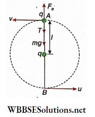 Class 12 Physics Unit 1 Electrostatics Chapter 2 Electric Field example 22 horizontal velocity