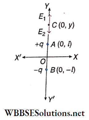 Class 12 Physics Unit 1 Electrostatics Chapter 2 Electric Field the x-y plane two point charges +q and -q are placed