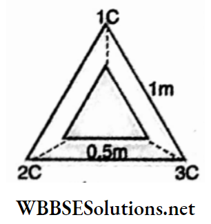 Class 12 Physics Unit 1 Electrostatics Chapter 3 Electric Potential example 17 equilateral triangle