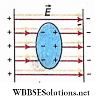 Class 12 Physics Unit 1 Electrostatics Chapter 4 Capacitance and Capacitor A conductor In an external electric field