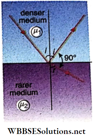 Class 12 Physics Unit 6 Optics Chapter 2 Refraction Of Light A Ray Light A Ray Of Light Travelling A Denser Medium