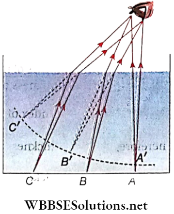 Class 12 Physics Unit 6 Optics Chapter 2 Refraction Of Light Cusp Of Vertically Downward