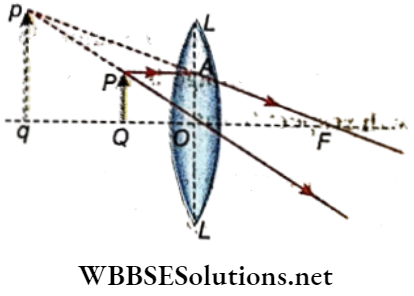 Class 12 Physics Unit 6 Optics Chapter 3 Refraction Of Light At Spherical Surface Lens Convex Lens And Virtual Image