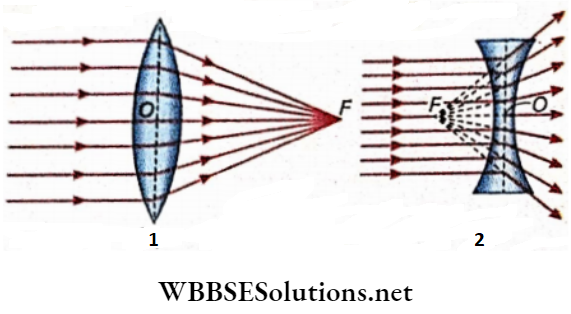 Class 12 Physics Unit 6 Optics Chapter 3 Refraction Of Light At Spherical Surface Lens Principle Focus