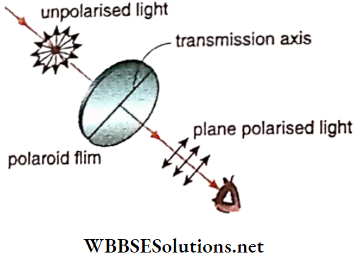 Class 12 Physics Unit 6 Optics Chapter 7 Diffraction And Polarisation Of Light Transmission Axis