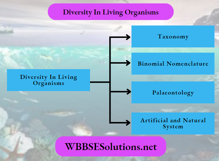 Diversity In Living Organism