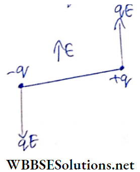 Electric Field An electric dipole is placed in a uniform electric field