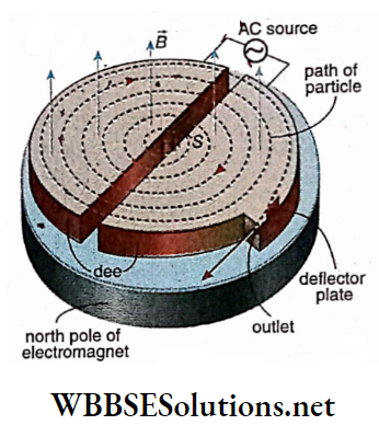 Electromagnetism Cyclotron