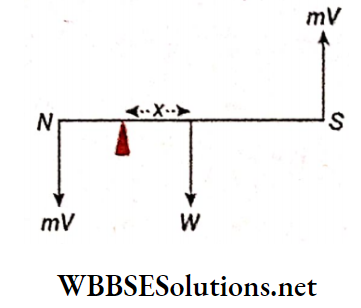 Electromagnetism Example 6 The mass of a magnetic needle