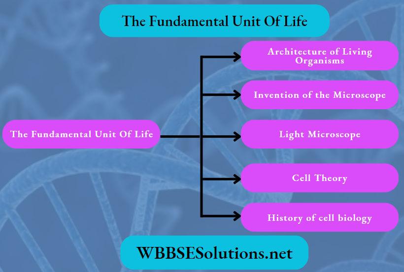 Fundamental Unit Of Life