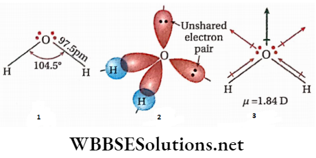 Hydrogen Structure of water molecule