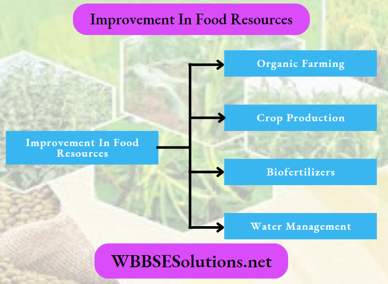 Improvement In Food Resource