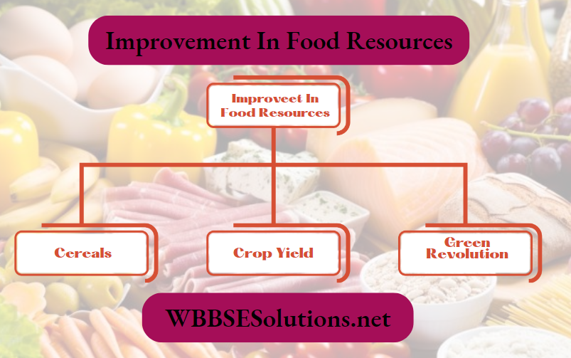 Improvement In Food Resources