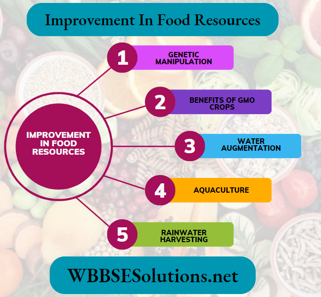 Improvement In Food Resources