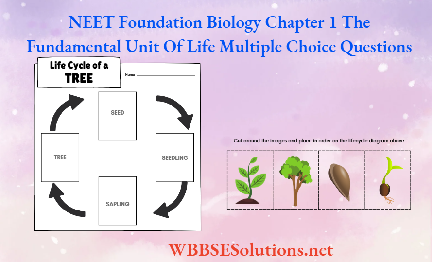 NEET Foundation Biology Chapter 1 The Fundamental Unit Of Life Multiple Choice Questions