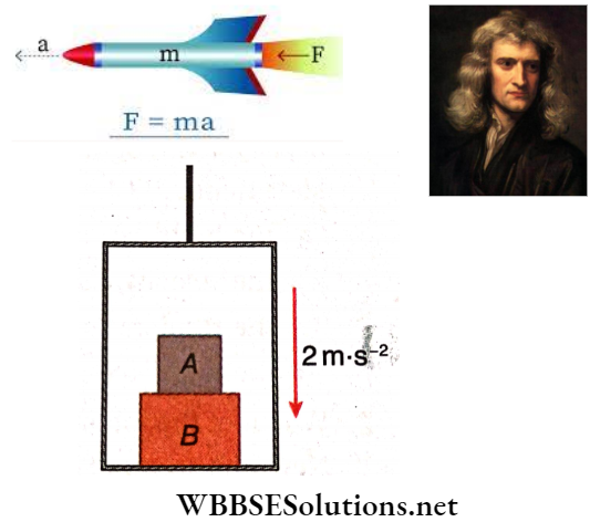 Newtons Law Of Motion Elavator