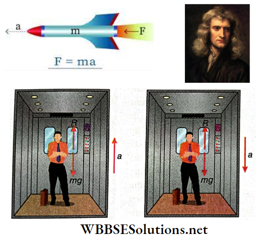 Newtons Law Of Motion Reaction In A Moving Lift