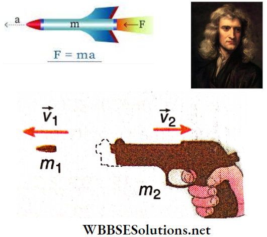 Newtons Law Of Motion Recoil Of A Gun