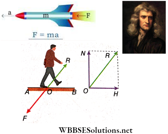 Newtons Law Of Motion Walking On A Horizontal Plane