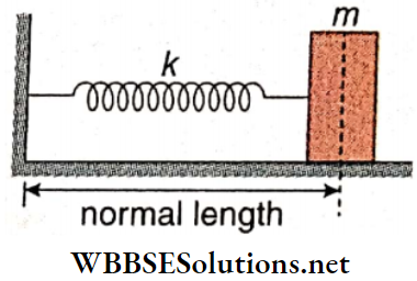 Simple Harmonic Motion A Block Of Mass Is Connected To A Spring Of Spring