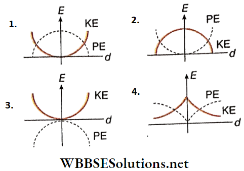 Simple Harmonic Motion A Simple Pendulum A Graph Is Plotted Between Its Kinetic And Potential Energy