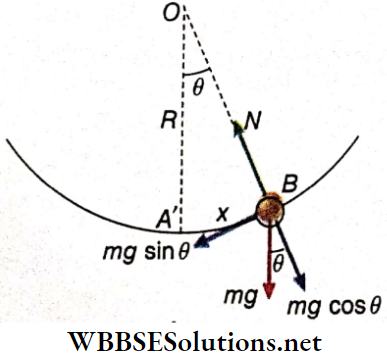 Simple Harmonic Motion A Small Spherical Body Is Place On Concave Side Of Curved Surface