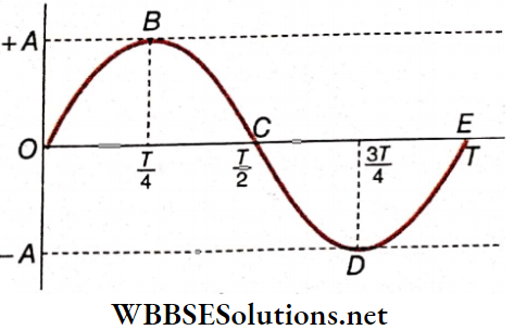 Simple Harmonic Motion Graphical Representation Of Simple Harmonic Motion With Sine Curve