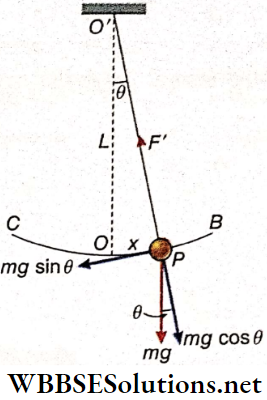 Simple Harmonic Motion Motion Of Simple Pendulum