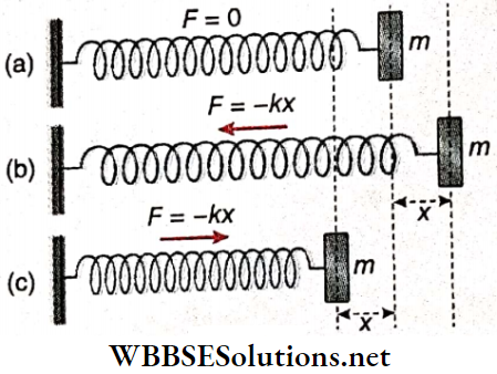 Simple Harmonic Motion Oscillation Of Mass Attached To A Horizontal Elastic Spring