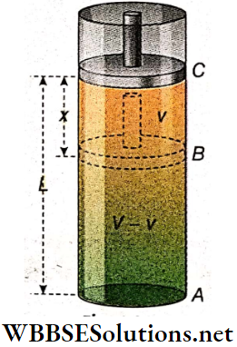 Simple Harmonic Motion Oscillation Of Piston In A Gas Cylinder