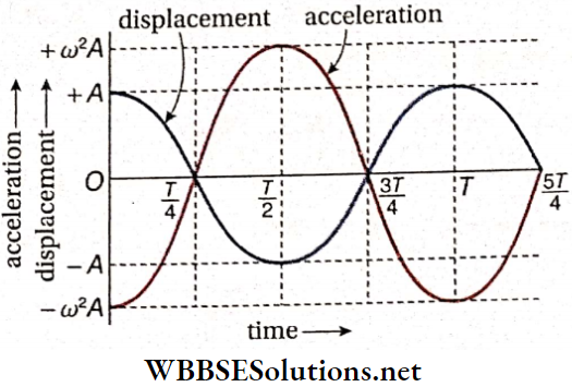Simple Harmonic Motion Phase Difference Of Acceleration With Displacement
