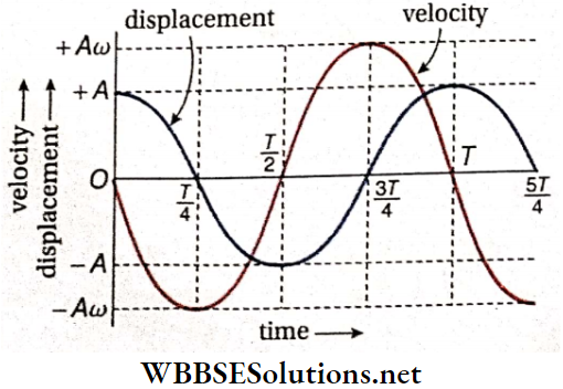 Simple Harmonic Motion Phase Difference Of Velocity With Displacement