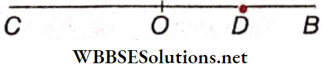 Simple Harmonic Motion Related To Oscillation Line Segment
