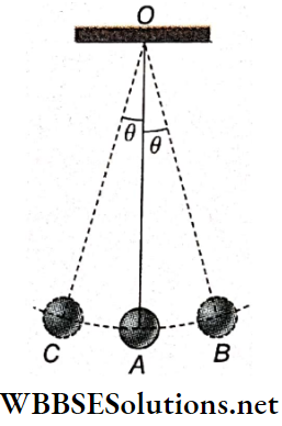 Simple Harmonic Motion Simple Pendulum
