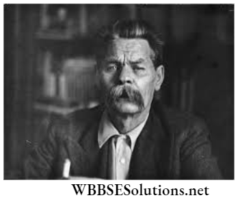 WBBSE Solutions For Class 9 History Chapter 5 Europe In The Twentieth Century Maxim Gorky